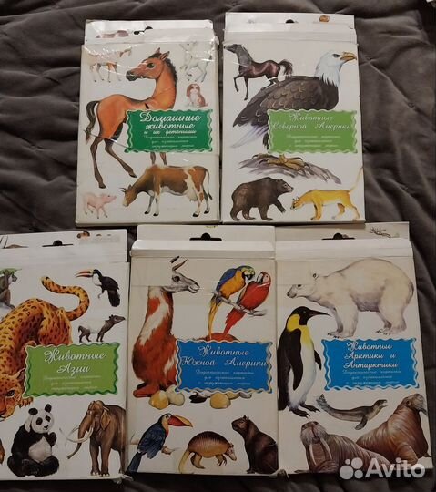 Развивающие карточки Маленький гений