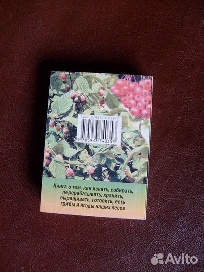 Советы по сбору грибов и ягод