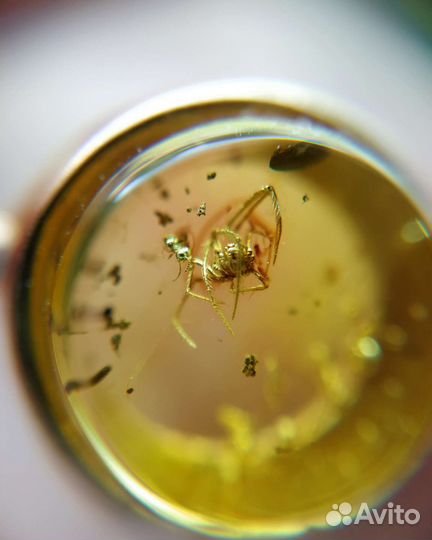 Янтарь Кольцо с Инклюзом Серебро