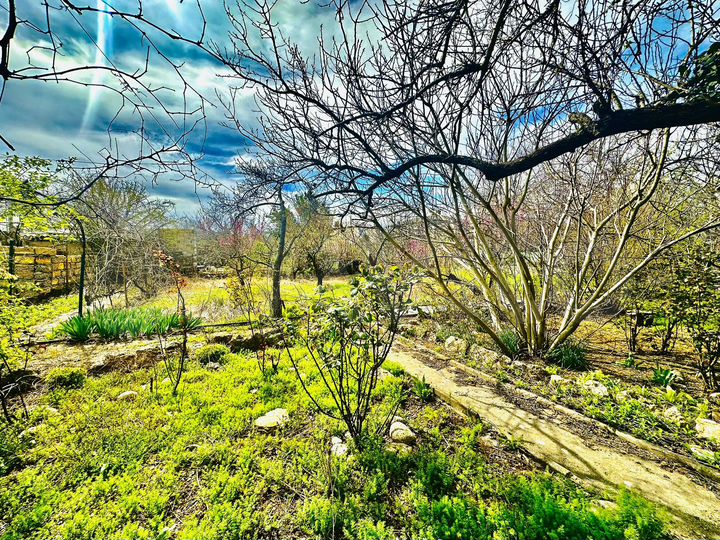 Участок 8,2 сот. (СНТ, ДНП)