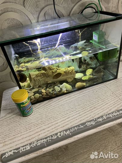 Аквариум