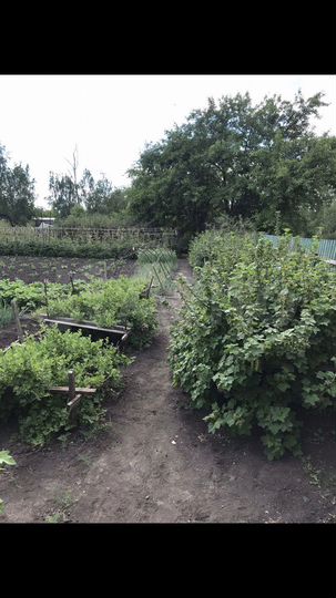 Дача 20 м² на участке 12 сот.