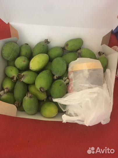 Сувенир из Сочи