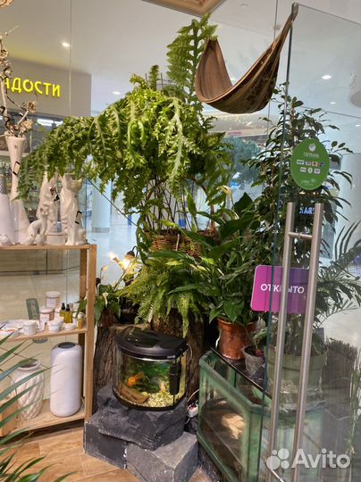 Цветочный магазин