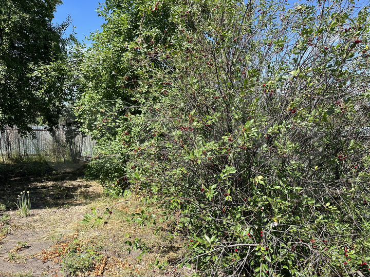 Дача 24 м² на участке 5,2 сот.