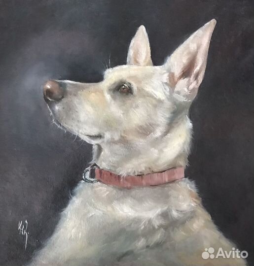 Портрет питомца