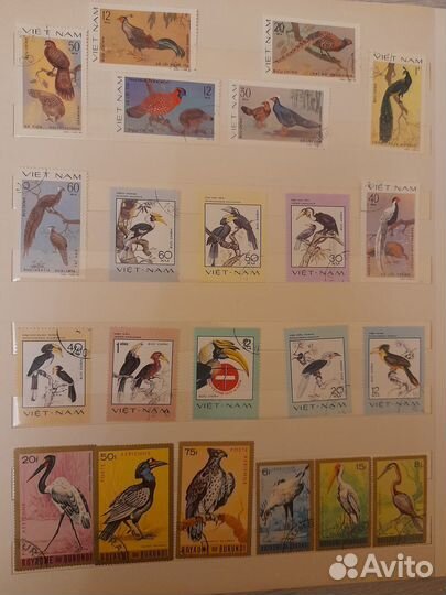 Почтовые марки,флора,фауна