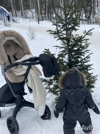 Stokke xplory v6 + оч много аксов