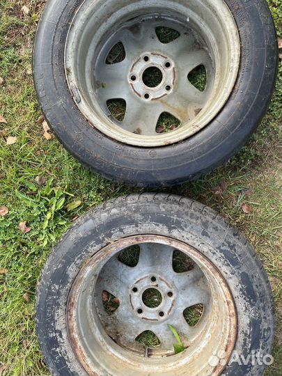 Volcano Longitude 4/65 R15