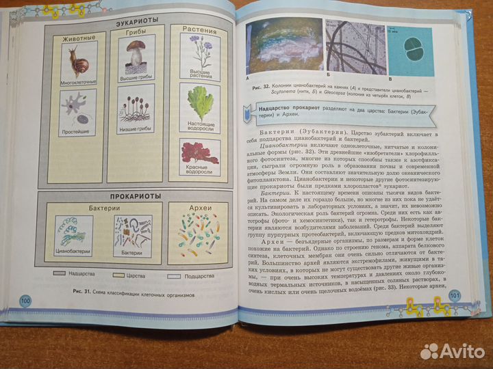 Учебник биология 11 класс