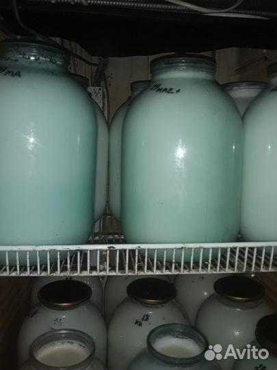 Молоко творог