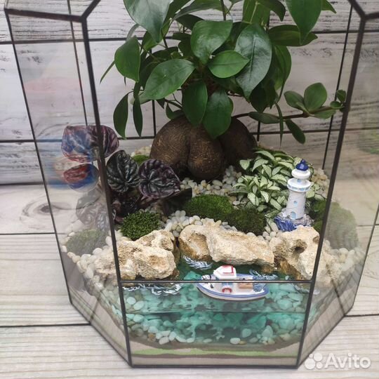 Флорариум, подарок, декор, цветы