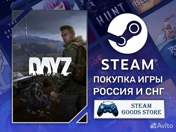 DayZ (Steam)