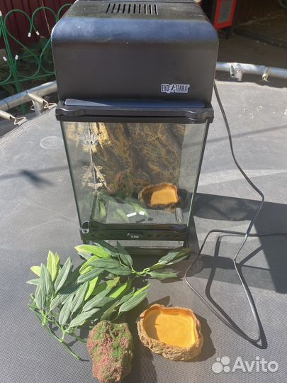 Террариум для рептилий (комплект)