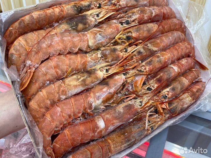 Лангустины L1 крупный. Опт ниже рынка