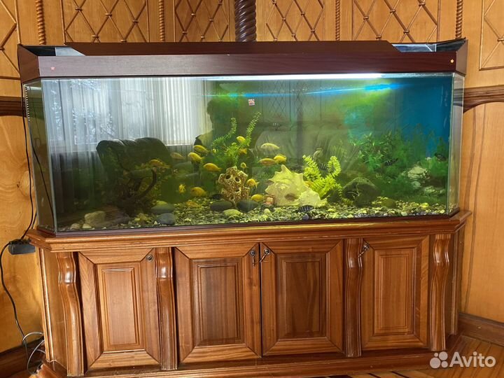 Продам аквариум