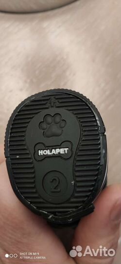 Обувь для маленькой собачки