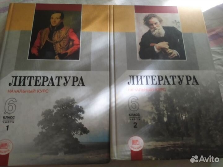 Учебник по литературе 6 класс, 2 части