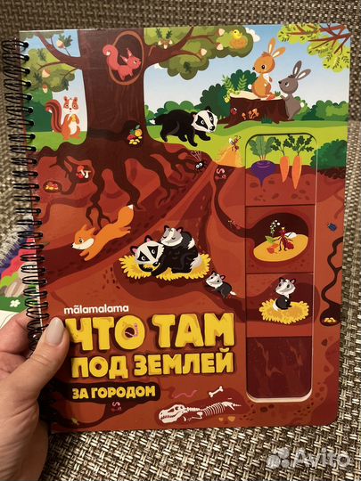 Детские книги Анатомия для детей, Под землей