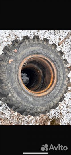 Продам резину на камаз/ урал