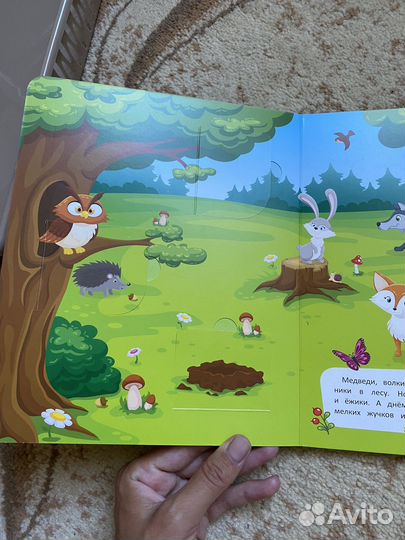 Феникс премьер книги с окошками, фикс прайс