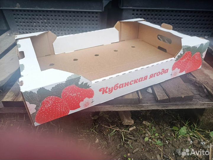 Евротара (коробка) для клубники