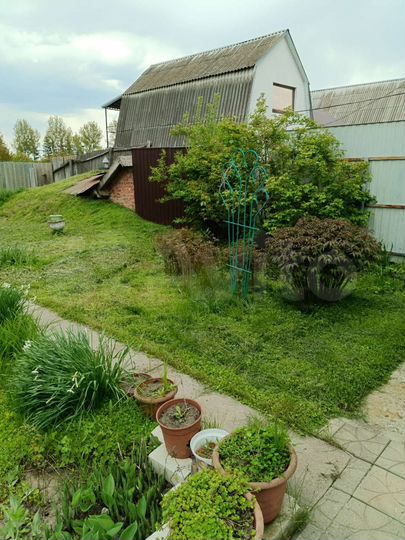 Дом 48 м² на участке 11 сот.