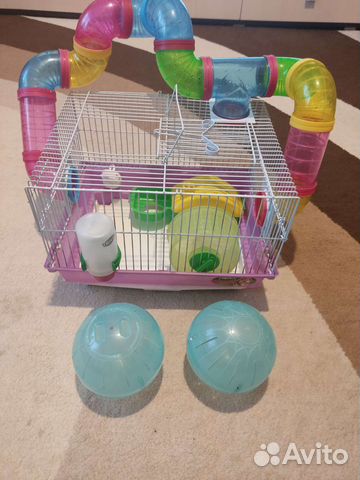 Клетка для джунгарского хомяка