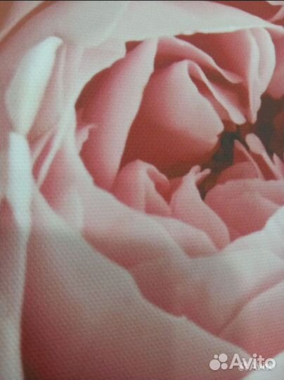 Красивая картина 60 на 40 см