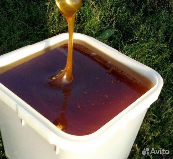 Мед гречишный 3 литра