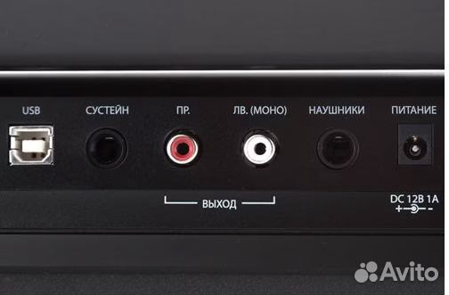 Цифровое пианино Denn Pro PW01 BK