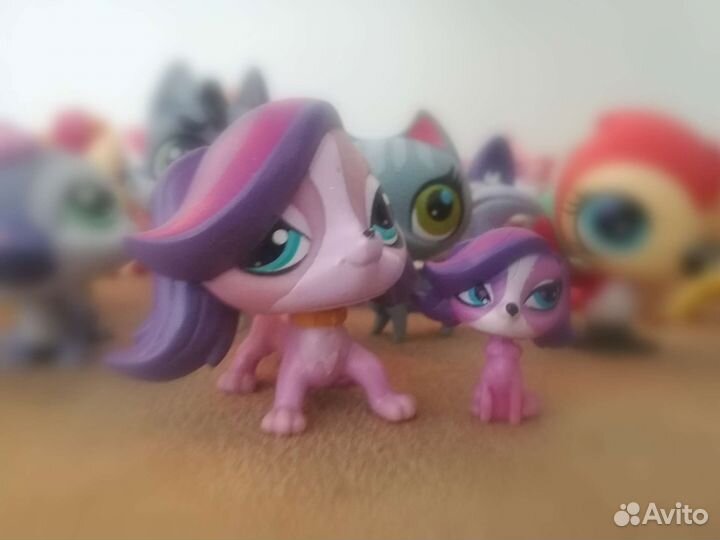 Зверушки Littlest Pet Shop