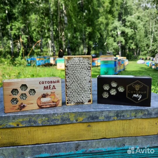 Сотовый мёд в мини-рамках (сбор 2023)