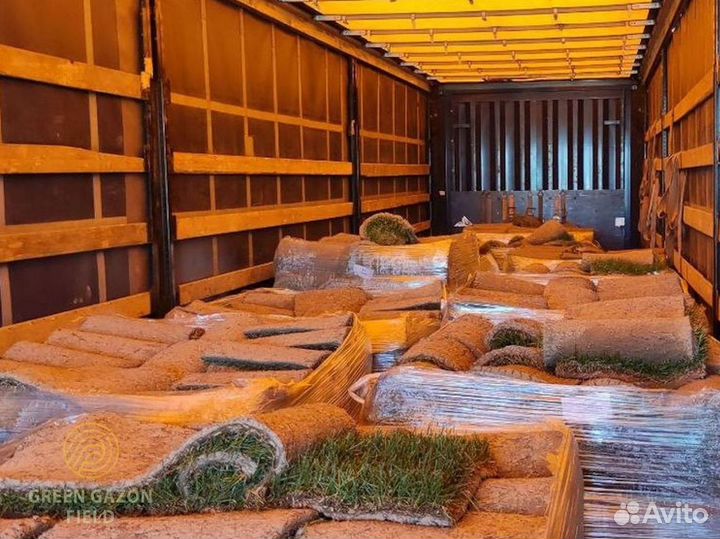 Полевой газон с поля