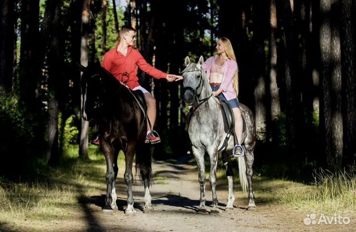 Конные прогулки