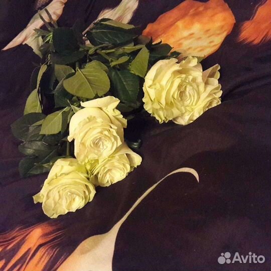 Цветы розы букет