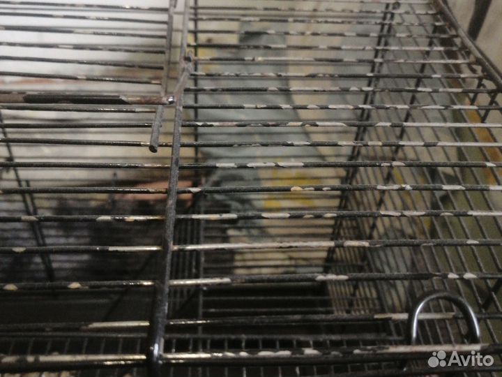 Клетка для грызунов