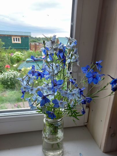 Дом 80 м² на участке 14 сот.