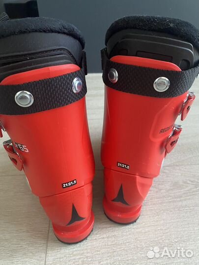 Горные лыжи