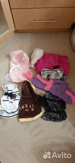 Одежда для мини йорка