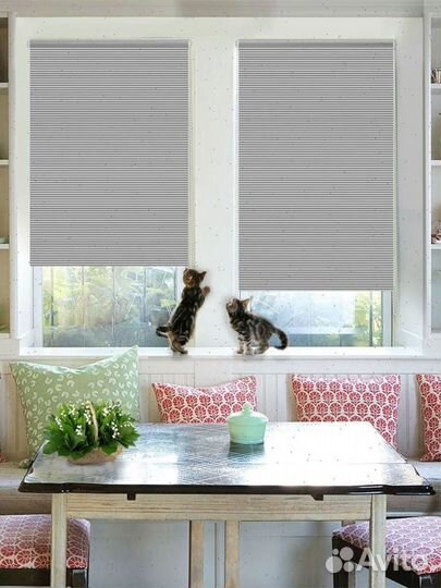 Жалюзи всего за 1 день