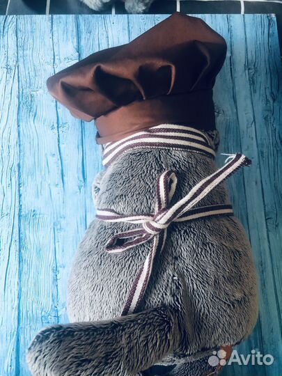 Basik красивый котик серый. Оригинал