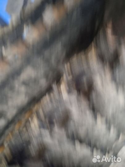 Гусеница в прицеп на сходни