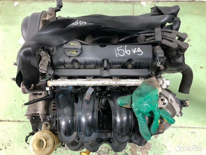 Двигатель Ford Focus 1.6 hxda 2005
