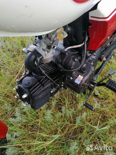 Alpha Rx 110