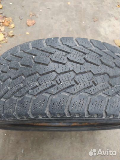 Nexen Winguard 195/55 R15