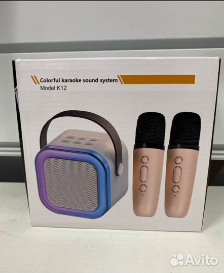 Детское караоке с двумя микрофонами и колонкой