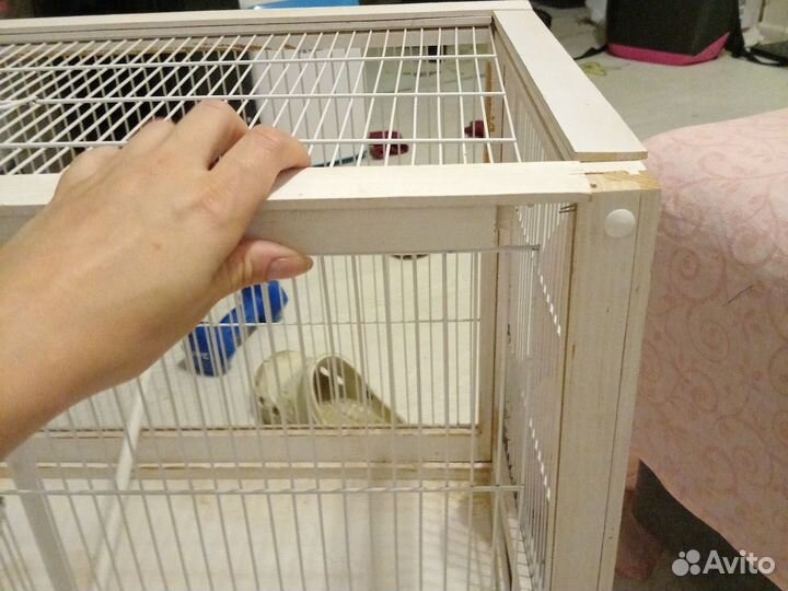 Клетка для попугая бу