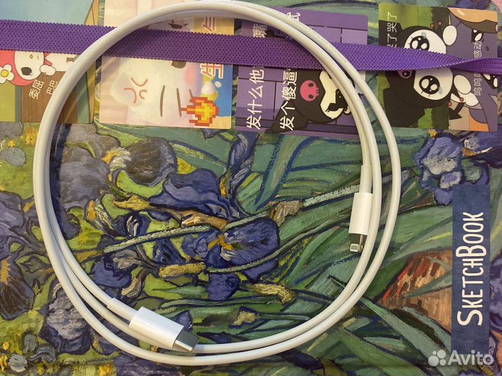 Оригинальный провод на iPhone тайпси