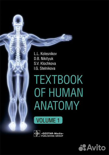 Анатомия человека